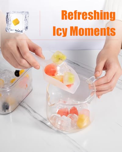 Brigii Ice Cube Tray with Lid & Storage Set